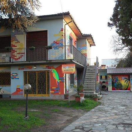 Tropical Bed&Breakfast Lucca Exterior photo